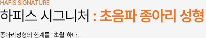 하피스 시그니처 : 초음파 종아리 성형