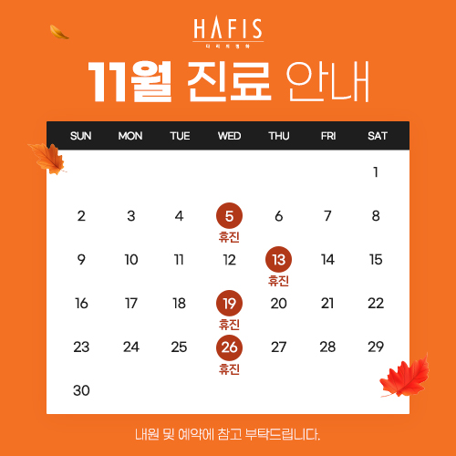 11월 진료 안내